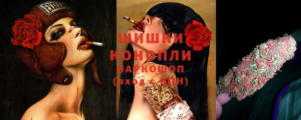 молекула духа Краснослободск