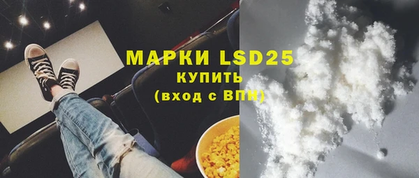 индика Красноперекопск