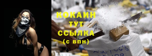 индика Красноперекопск