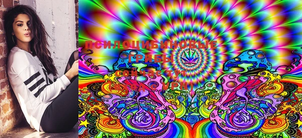 марки lsd Краснотурьинск