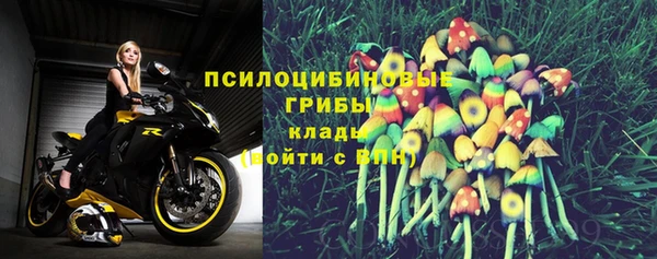 индика Красноперекопск