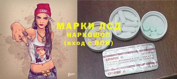 индика Красноперекопск