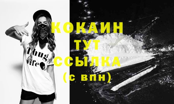 молекула духа Краснослободск
