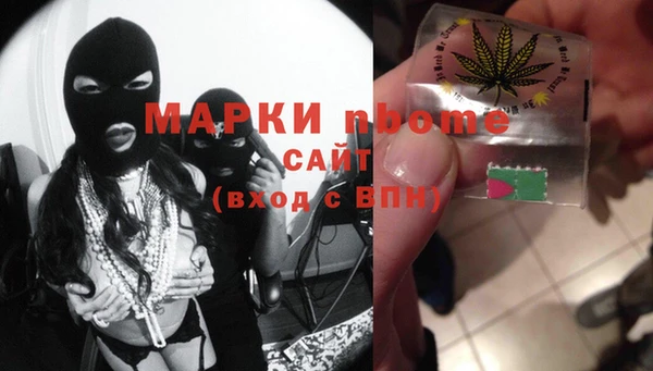индика Красноперекопск
