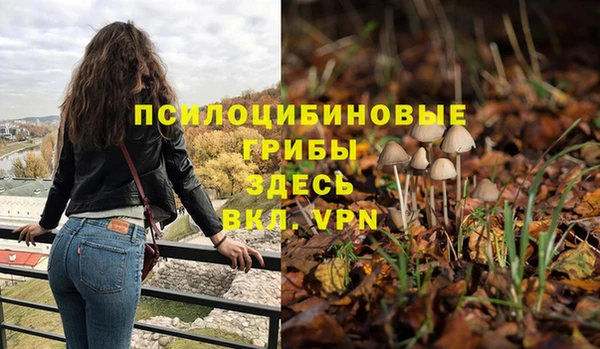 молекула духа Краснослободск