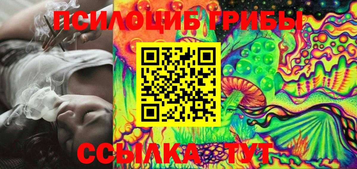 Псилоцибиновые грибы Psilocybe Салават