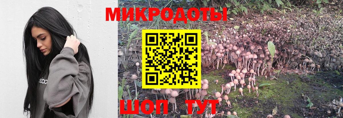 Салават  Галлюциногенные грибы Psilocybine cubensis  Вход с VPN 