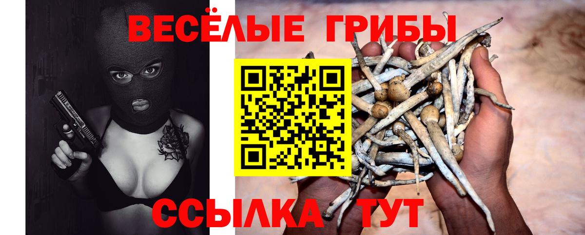 Псилоцибиновые грибы ЛСД Салават